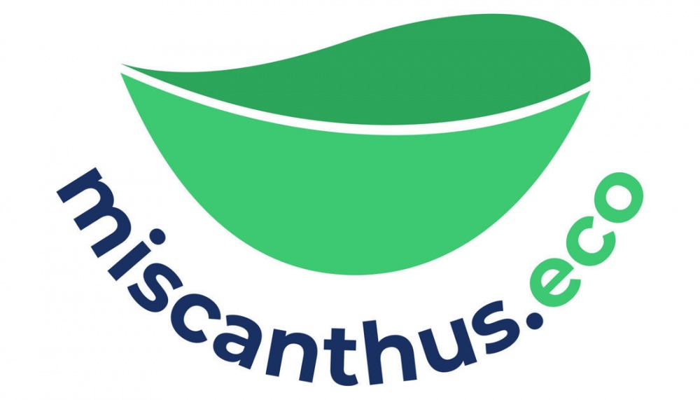 Правительство России одобрило проекты «Мискантус» и «Романовский печатник»